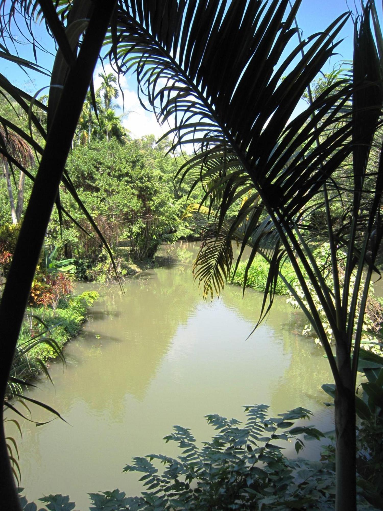 Phanom Bencha Mountain Resort Krabi town Kültér fotó