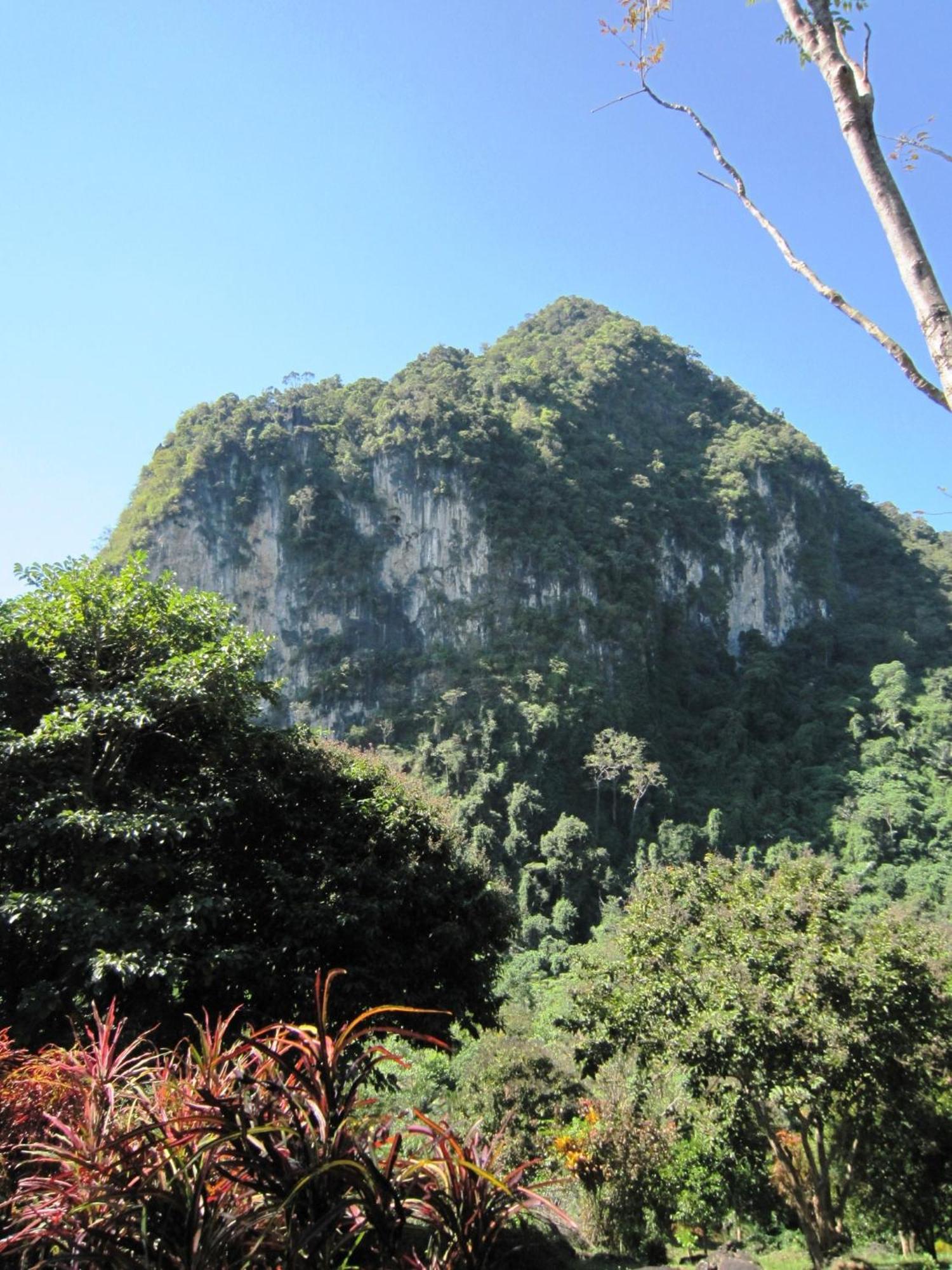 Phanom Bencha Mountain Resort Krabi town Kültér fotó