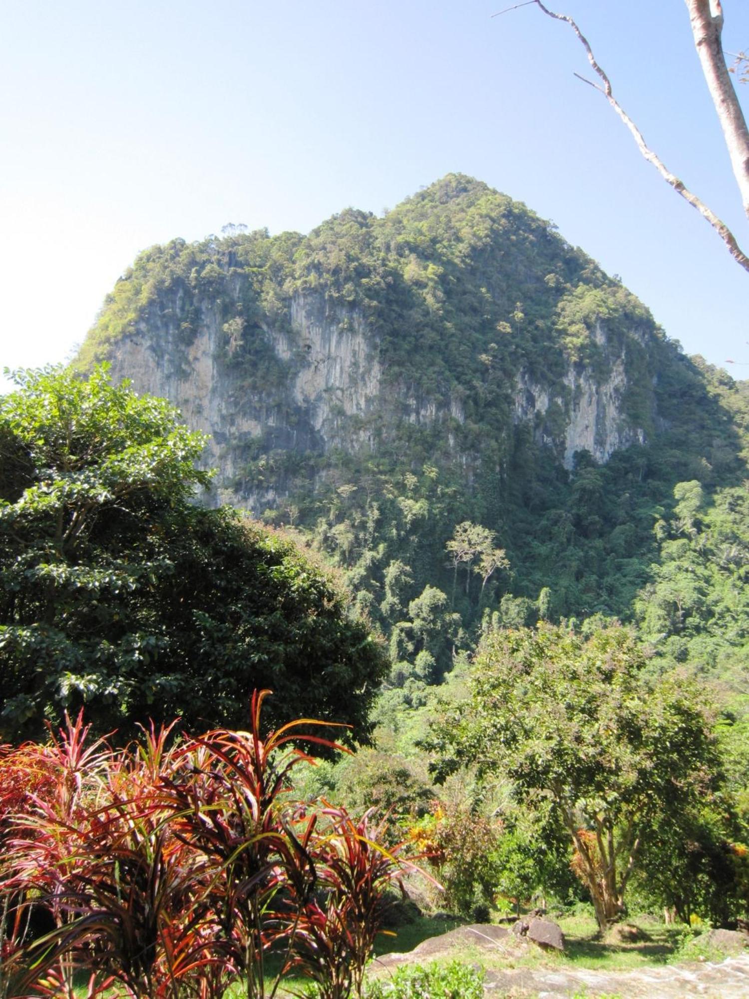 Phanom Bencha Mountain Resort Krabi town Kültér fotó