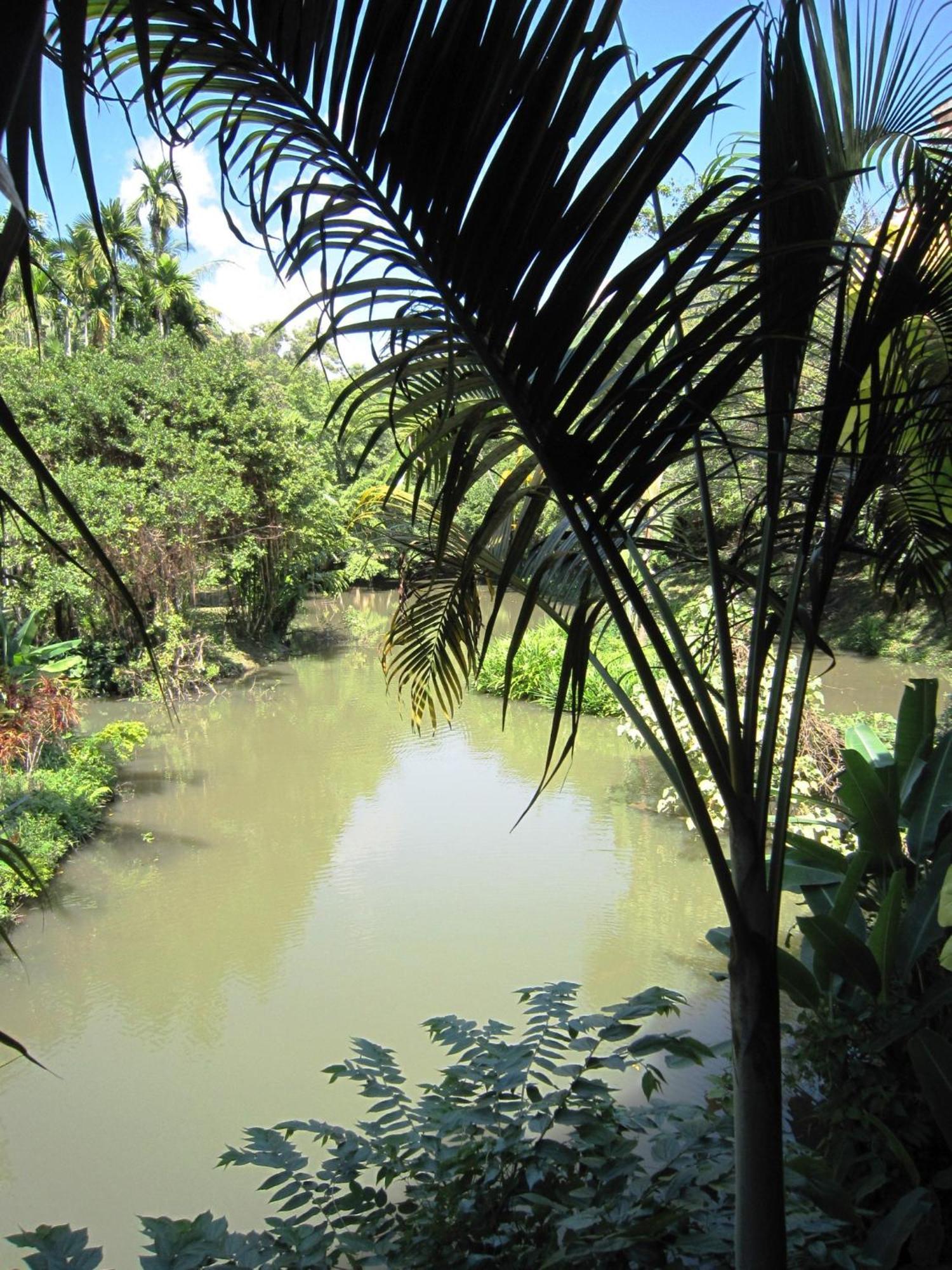 Phanom Bencha Mountain Resort Krabi town Kültér fotó