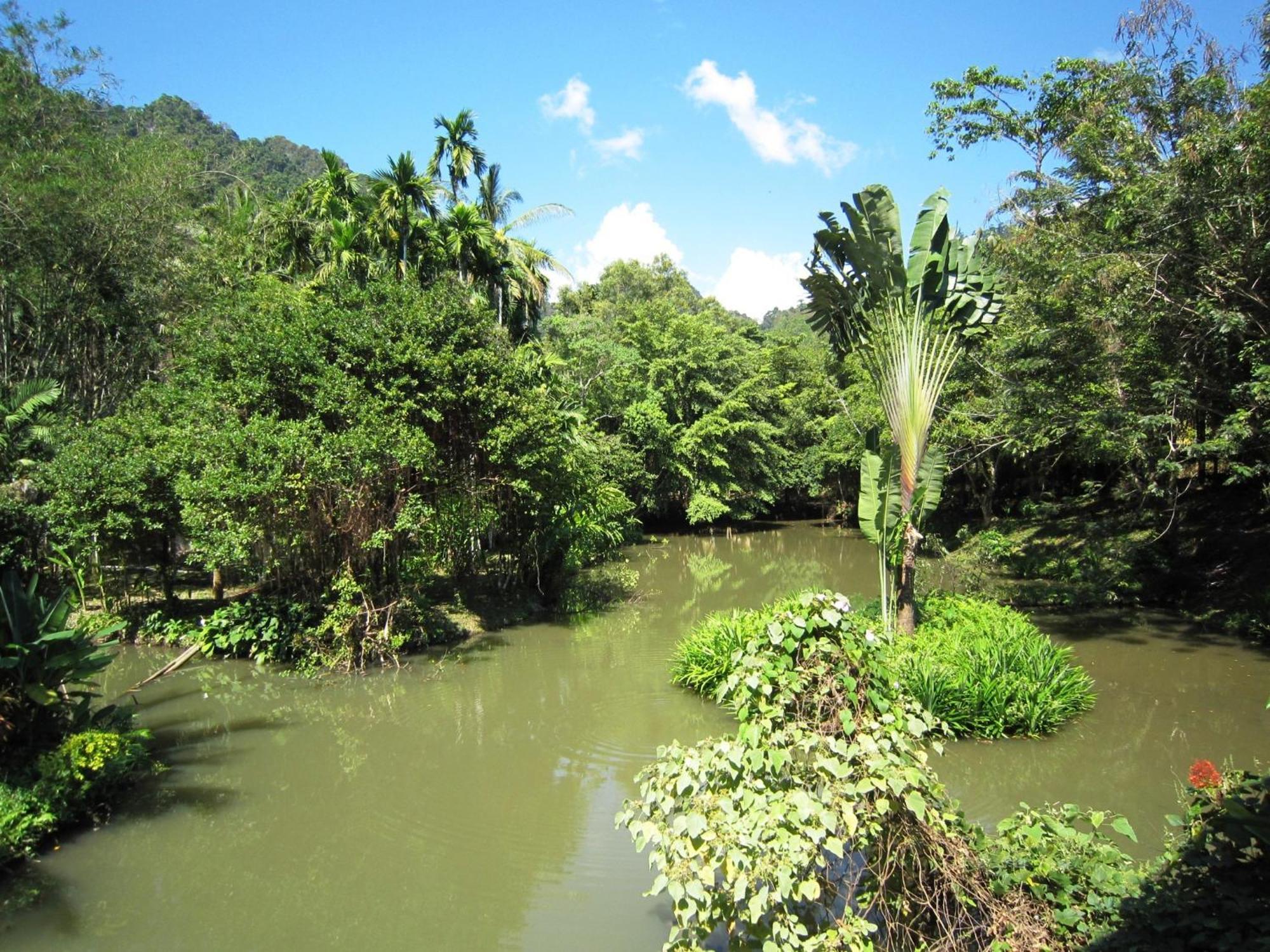 Phanom Bencha Mountain Resort Krabi town Kültér fotó