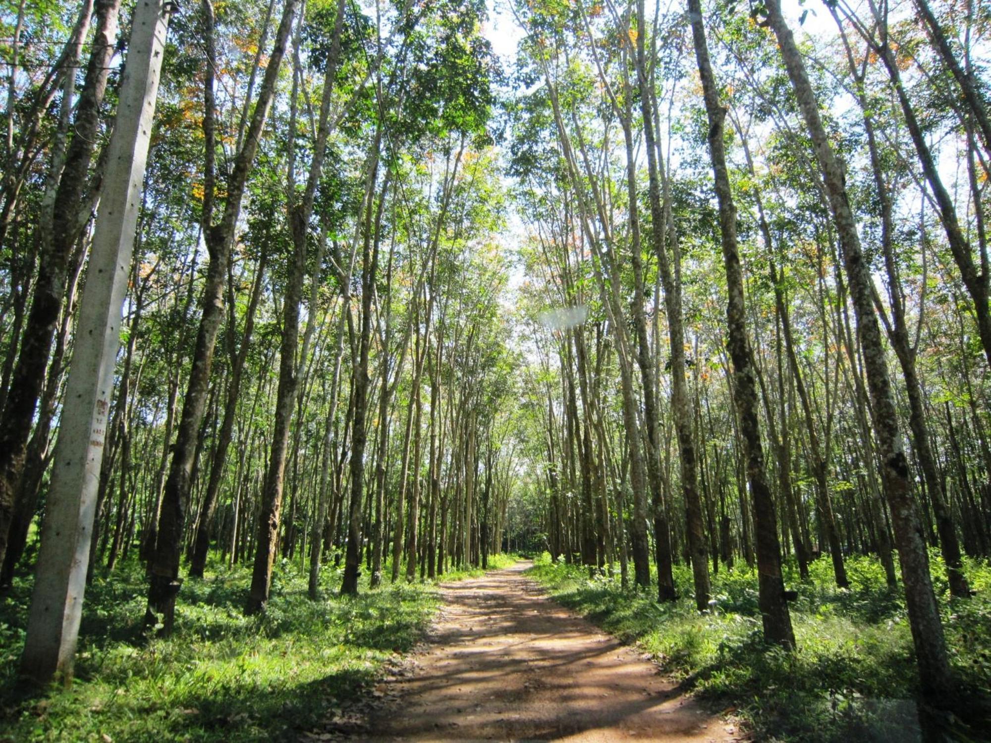 Phanom Bencha Mountain Resort Krabi town Kültér fotó