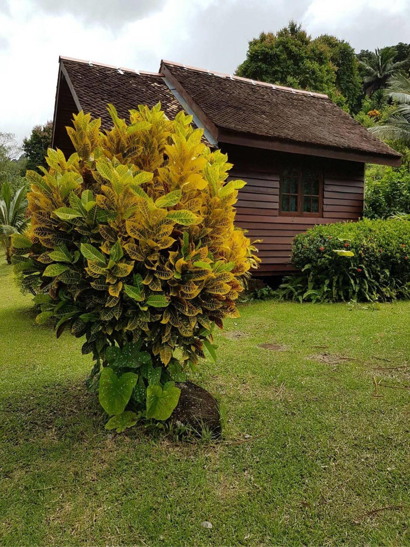 Phanom Bencha Mountain Resort Krabi town Kültér fotó