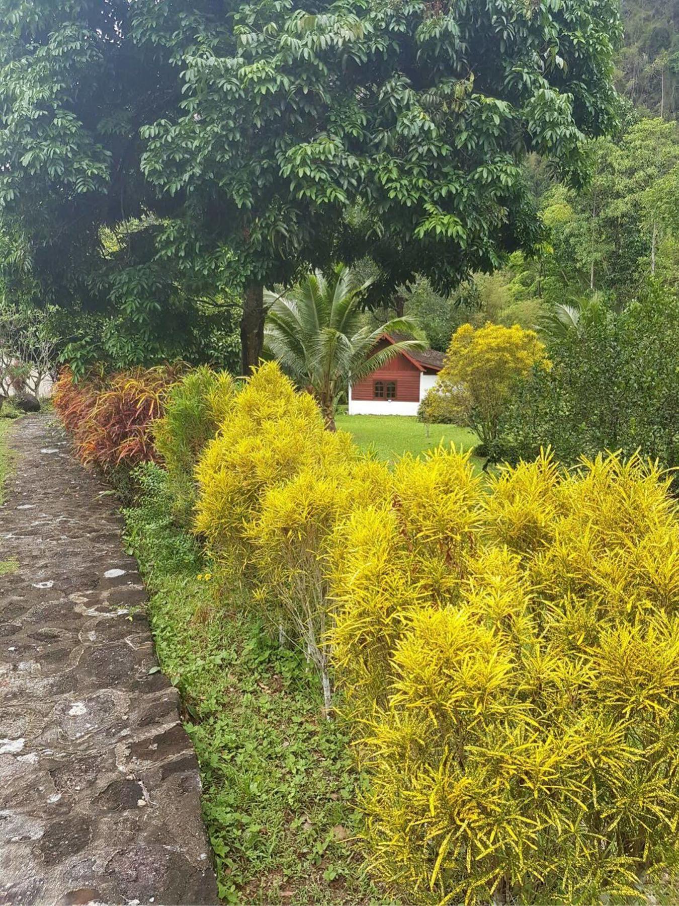 Phanom Bencha Mountain Resort Krabi town Kültér fotó