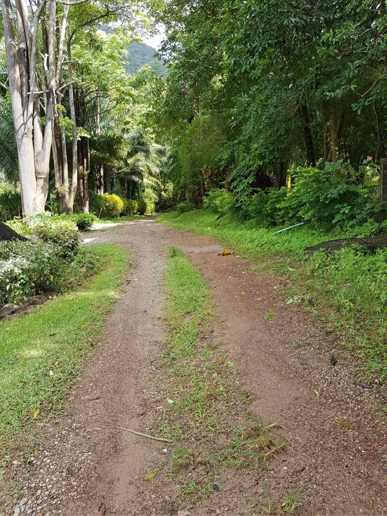 Phanom Bencha Mountain Resort Krabi town Kültér fotó