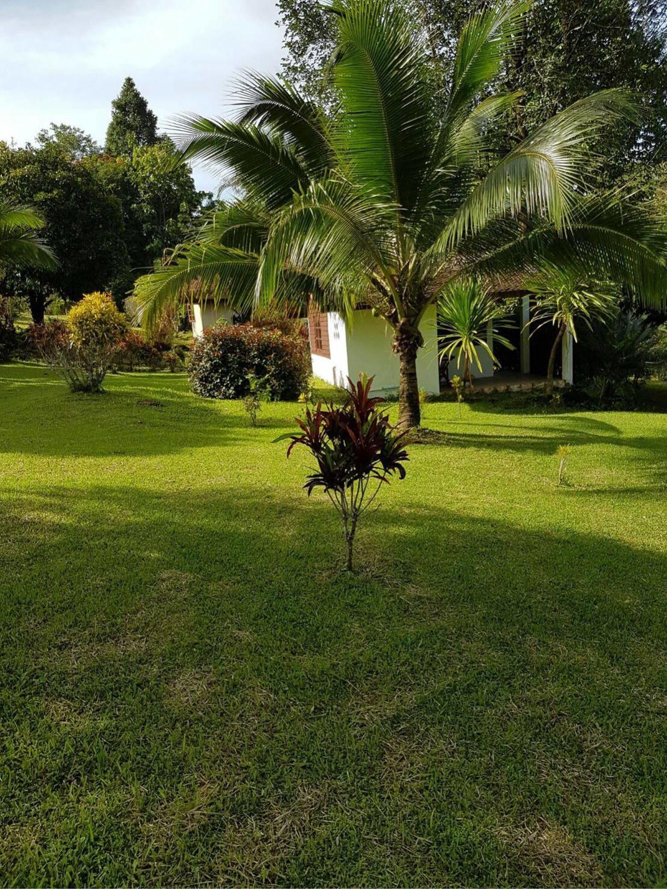 Phanom Bencha Mountain Resort Krabi town Kültér fotó